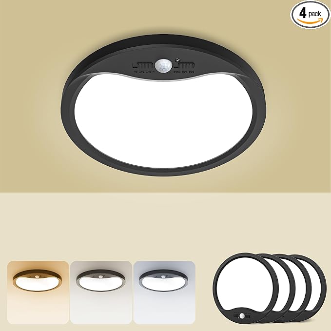 Ceiling Lights