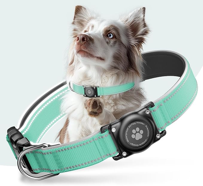 Collars