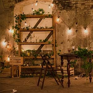 GOOTHY Outdoor String Lights 45Ft ST40 Vintage Patio Lights - Image 7