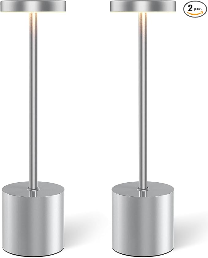 Silver Cordless Table Lamp Rechargeable by Swinerton
