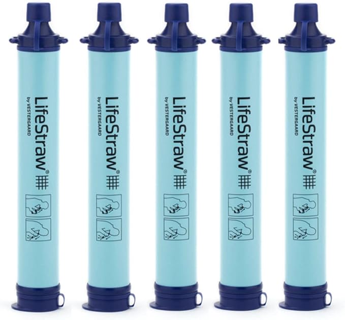 LifeStraw Personal Water Filter by LifeStraw
