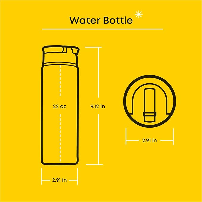 JoyJolt Disney Retro Vintage Stainless Steel Water Bottle ft Mickey & Minnie - Image 3