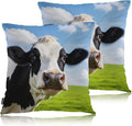 Swono Cow Bed Pillow Covers, Funny Farm Cattle Cow On Grass Meadow Decorative by Swono