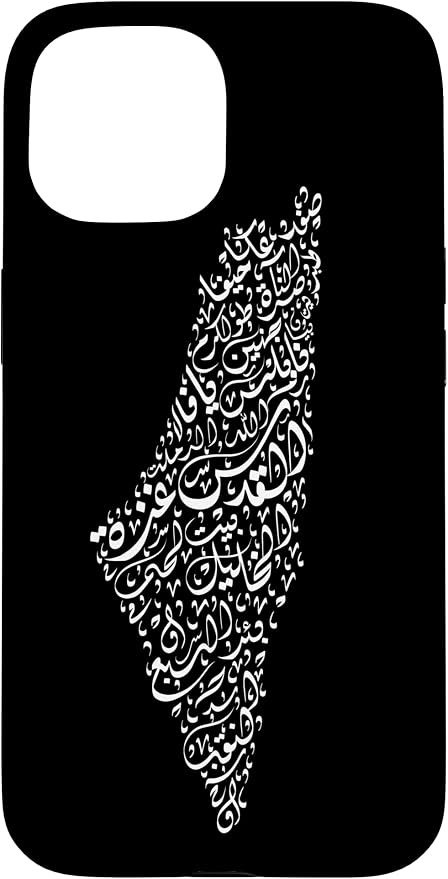 Historic Palestine Map of Cities by Unknown