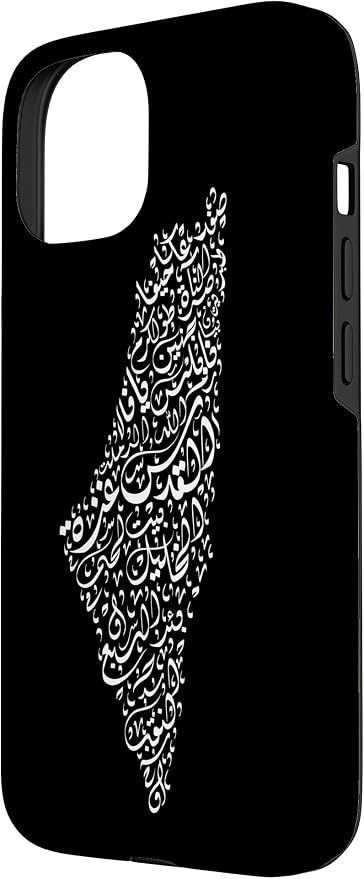 Historic Palestine Map of Cities - Image 2