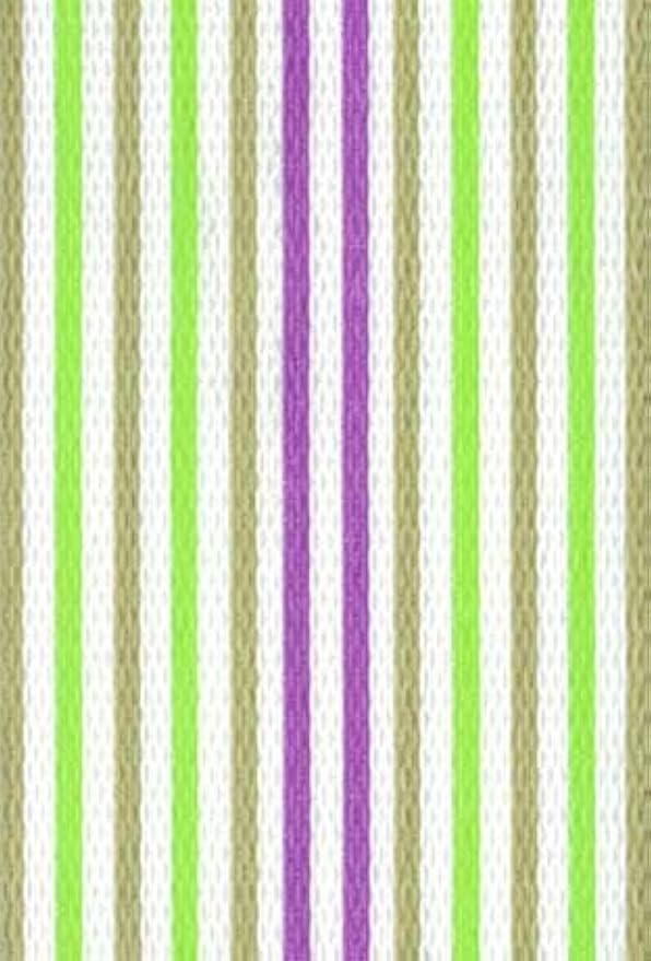 Lawn Chair USA Replacement Webbing Kit by LawnChairUSA
