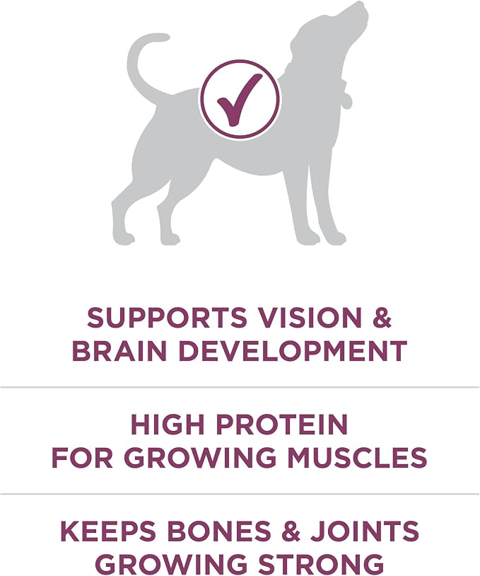 Purina ONE Plus Healthy Puppy Formula High Protein Natural Dry Puppy Food - Image 4
