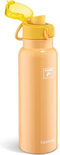 Fanhaw Daylite Series 24 oz Stainless Steel Insulated Water Bottle by FANHAW