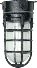 Woods L1706BLK Vandal Resistant 150W Incandescent Security Light, Ceiling Mount by Woods