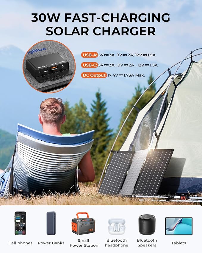 BigBlue 30W Solar Panel Charger - Image 2