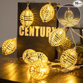 Vigdur Rattan Ball String Lights - 10FT Lantern String Lights Plug in by Vigdur