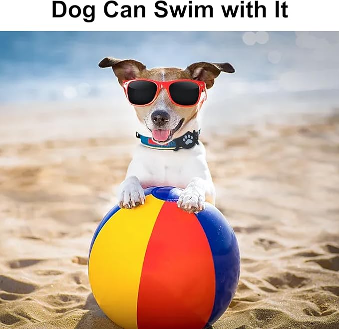 Dog Collar Holder Compatible - Image 4