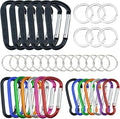 20 Pack Carabiners Clips with Keychain D Ring Caribeaner Clip Hook by Topbuti
