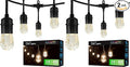 Enbrighten Classic Warm White String Lights, 48ft Black Cord, 24 Shatterproof by Enbrighten
