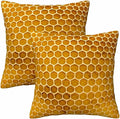 Bee Honeycomb Throw Pillow Covers 18x18 Yellow Honey Abstract Set of 2 Pillow by Unknown