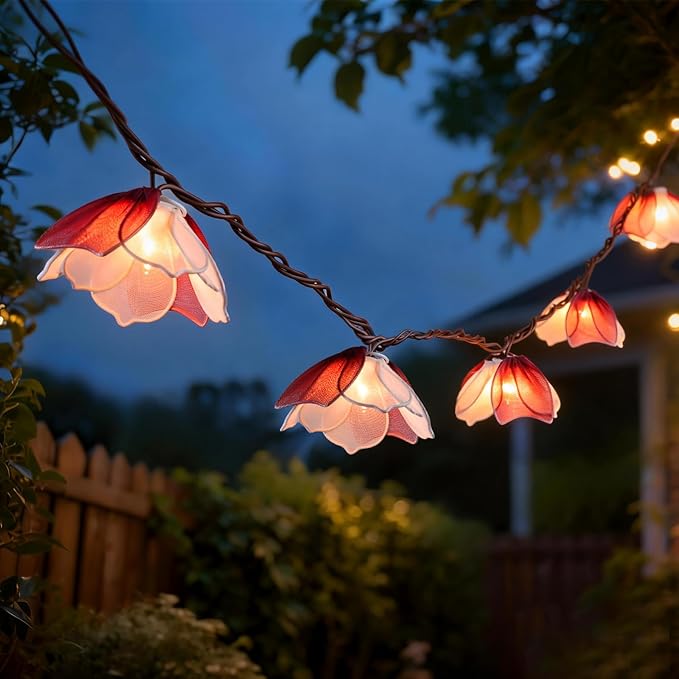 TWINKVILLA Decorative String Lights Plug in by TWINKVILLA
