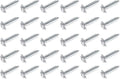 Lawn Chair USA Webbing Screws, 30 Pack by LawnChairUSA