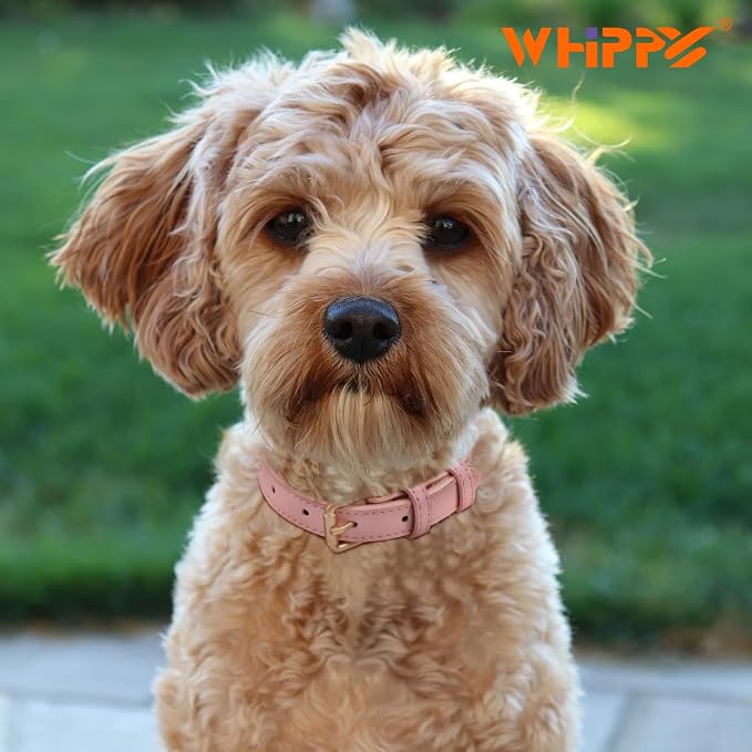 WHIPPY Leather Dog Collar for Small Dog Adjustable Soft Breathable Leather - Image 5