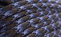 USA Made 550 Paracord by BoredParacord