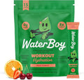 Waterboy Workout Hydration | 2, 960mg Sugar Free Electrolyte Powder Packets | by WaterBoy