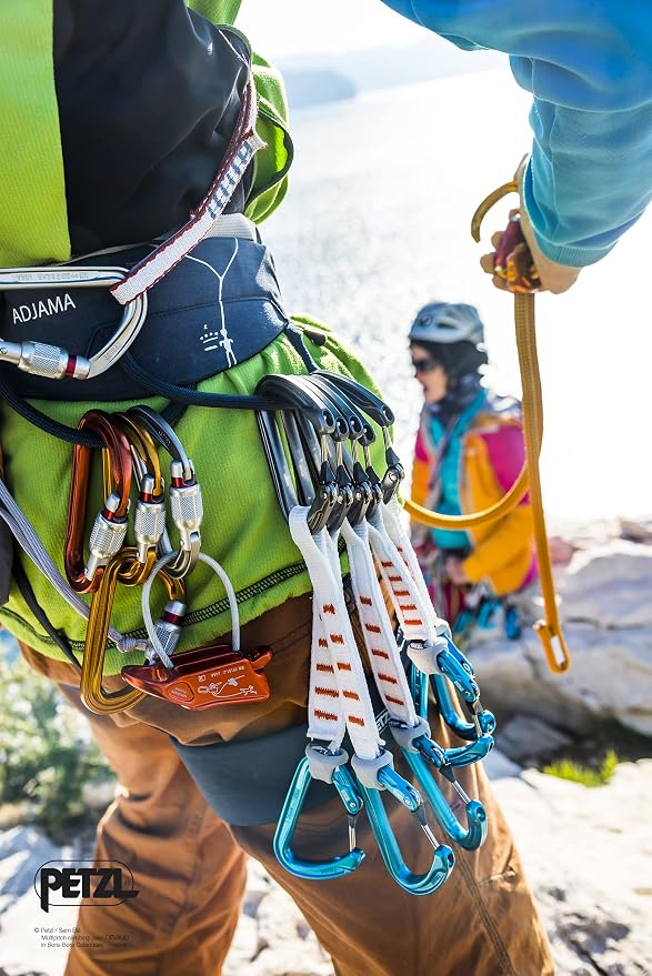 Petzl Sm'D Carabiner - Image 4