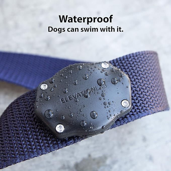 Elevation Lab AirTag Dog Collar Holder - Image 5