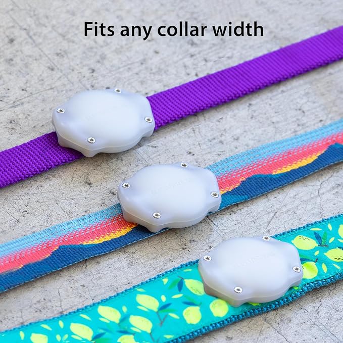 Elevation Lab AirTag Dog Collar Holder - Image 7
