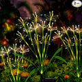 Solar Garden Lights Outdoor: Waterproof 2-Pack DIY Decorative Firework Lights by Unknown
