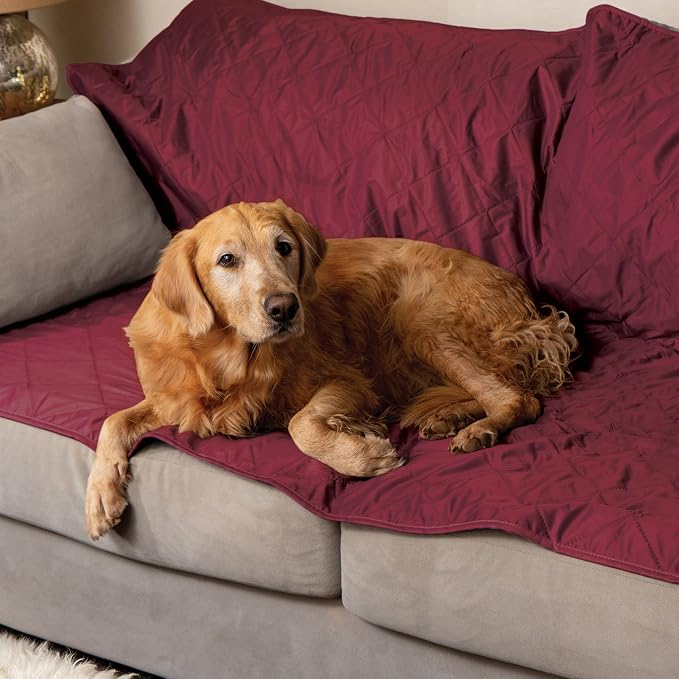 BRAWNTIDE Large Outdoor Waterproof Blanket - Image 7