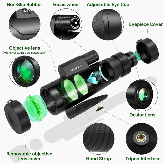 Asacam® 2025 Update - Image 2
