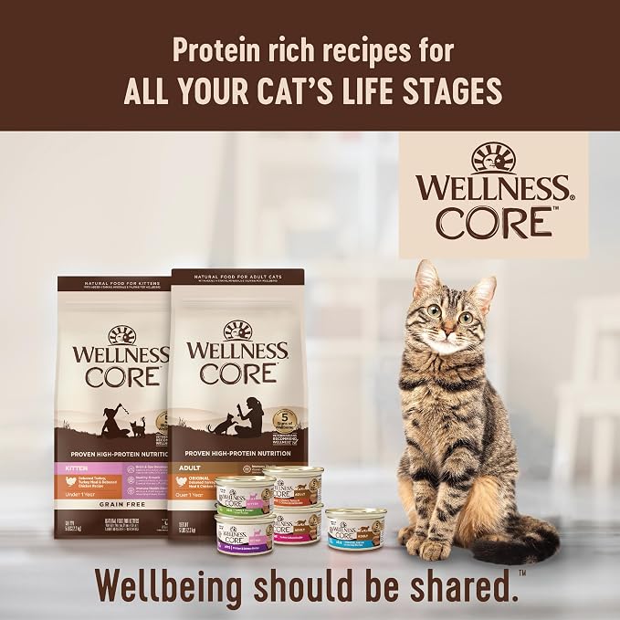 Wellness CORE Adult Dry Cat Food, Grain Free Kibble, Turkey and Chicken Recipe - Image 8