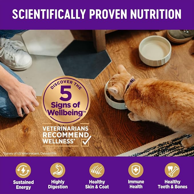 Wellness Complete Health Kitten Dry Cat Food, Grain Free Kibble, Chicken Recipe - Image 4