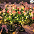 GIGALUMI Solar Garden Lights by GIGALUMI